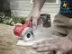 Máy Cắt Cầm Tay Milwaukee M12 FCOT-0X